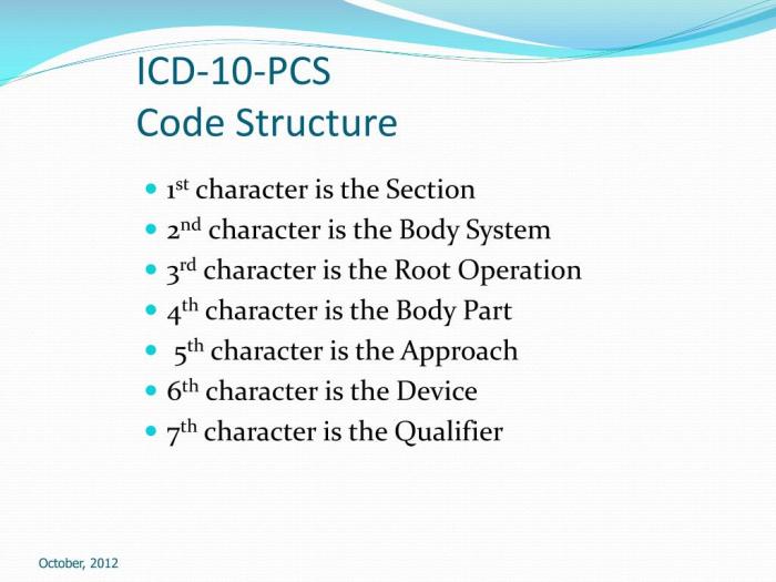 Coding icd principles assignment