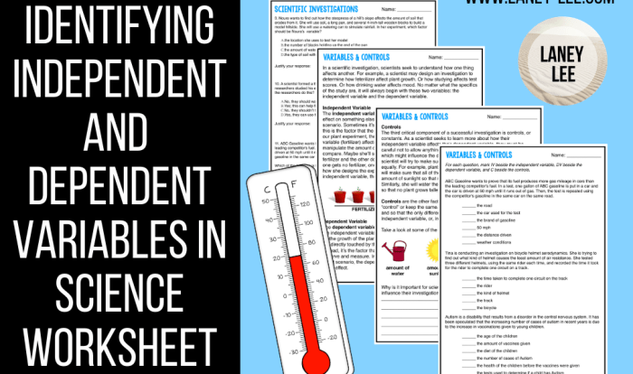 Worksheet independent and dependent variables