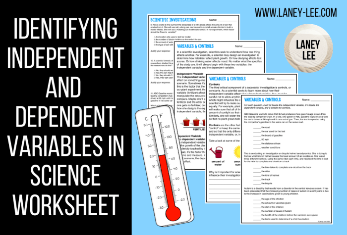 Worksheet independent and dependent variables