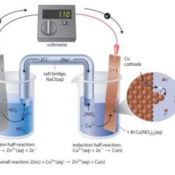 Galvanic electrolysis electrolytic electrode electrochemistry edurev anode cathode flow voltage voltaic electrons libretexts principles electron corrosion 2012books lardbucket applied