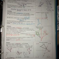 Rigid or nonrigid transformations answer key