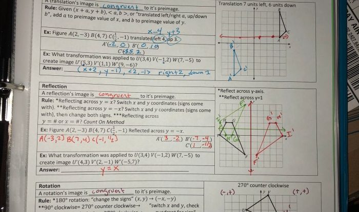 Rigid or nonrigid transformations answer key