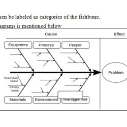 Which statement accurately depicts brainstorming